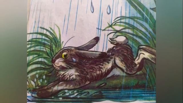 Чтение сказки В.Г.Сутеева "Под грибом" смотреть онлайн