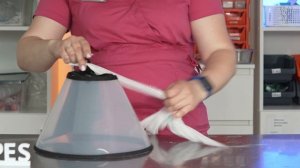 ? Как правильно подобрать и надеть защитный воротник на собаку? Как надеть воротник на собаку. 12+