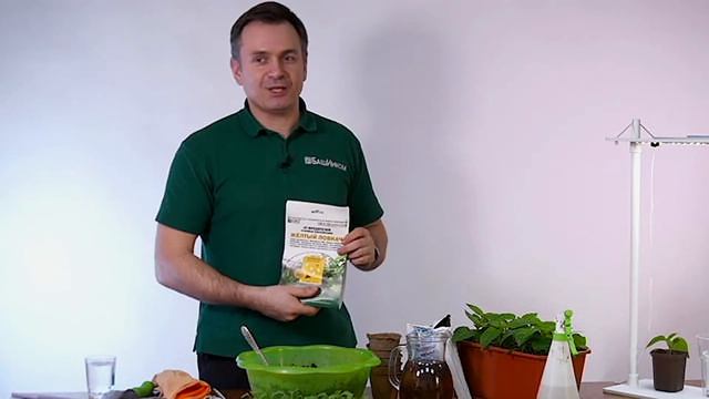 Школа ОЖЗ. Пикировка. Фитоспорин Пробио. Пересадка орхидеи в страну Аркадию смотреть онлайн