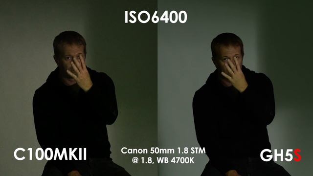 Panasonic GH5S vs Canon C100 MKII Lowlight Test смотреть онлайн