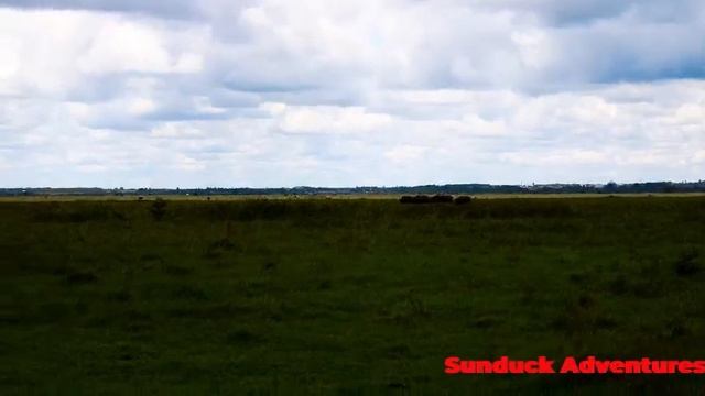 The Nairobi National Park Documentary;NAIROBI-KENYAN SAFARI???? смотреть онлайн