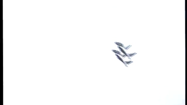 Черный ящик Скнилова