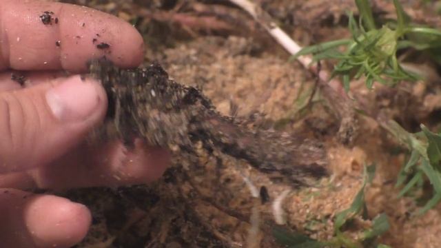 Учим Делать Искусно