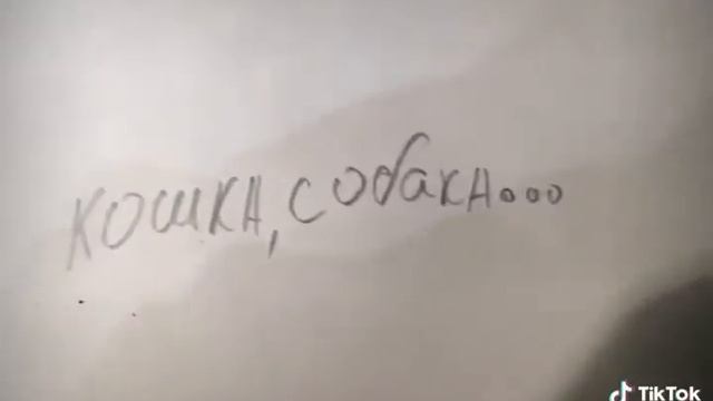 Самый смешной прикол на свете смотреть онлайн