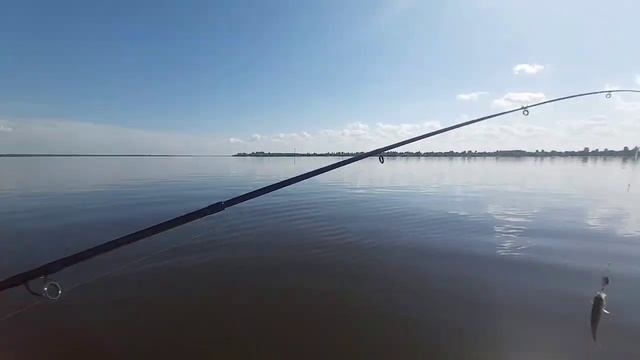 В жару рыба не клюёт. Ловим тёплые деньки. Двина. Троллинг. смотреть онлайн