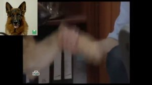 ~Возвращение Мухтара 2~ Клип про Мухтара и Максима "Сторожевой"