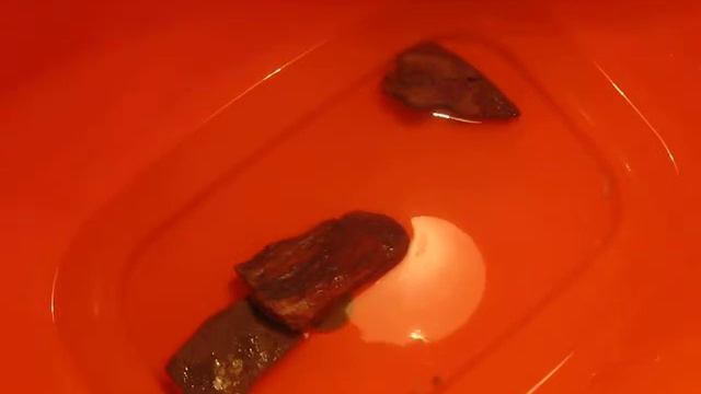 ухаживания за красноухой черепахой смотреть онлайн