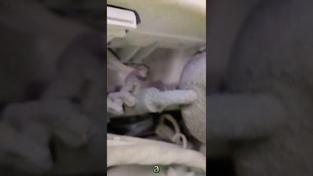 Приколы сто....Сто моментов юмора №18 #приколы #развлечения #смех #юмор #как#смешныевидео смотреть онлайн