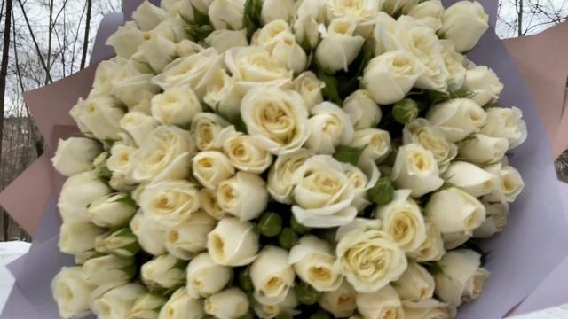 51 кустовая роза Сноу Бабл смотреть онлайн