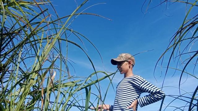 Как поймать окуня часть 1, рыбалка на речке Заостровка смотреть онлайн