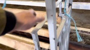 Раскол для овец - своими руками