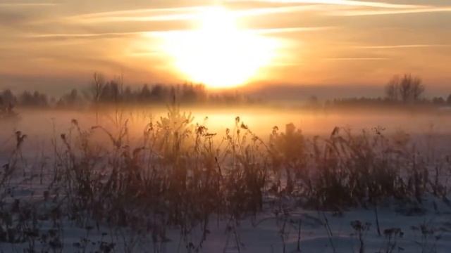 Каникулы в Мещёре смотреть онлайн