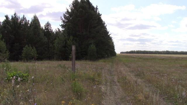 Собираю мелочь на выбитом полевом стане. смотреть онлайн