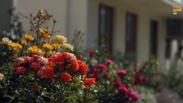 ЖК Руполис смотреть онлайн