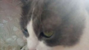 5 ночей с Соней. Хоррор