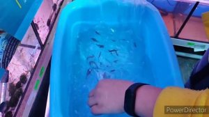 Полная распаковка новой рыбки