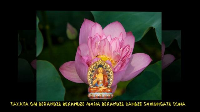 TAYATA OM BEKANDZE BEKANDZE MAHA BEKANDZE RANDZE SAMUNGATE SOHA смотреть онлайн