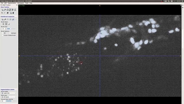 Tutorial 3: Annotate cells for training 3D U-Net смотреть онлайн