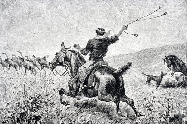 Болас, бола, болеадорас (исп. bola «шар») — охотничье метательное оружие.