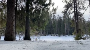 НАГЛОСТЬ СВЕКРОВИ НЕ ЗНАЕТ ГРАНИЦ... | Истории из жизни.