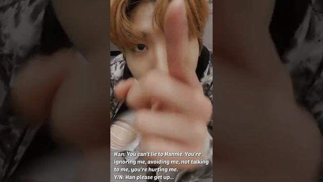 *Imagine Stray Kids* When you ignore them. смотреть онлайн