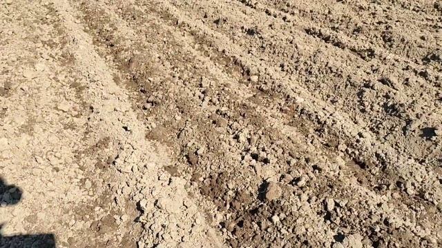 Довсходовая обработка ежами с одним удлинителем. смотреть онлайн