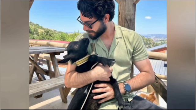 Yağmur Yüksel's Shocking Request Reveals Intriguing Twists in the Yağmur-Gülüm-Barış Love Triangle смотреть онлайн