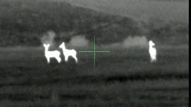 Fortuna General 50L3 смотреть онлайн