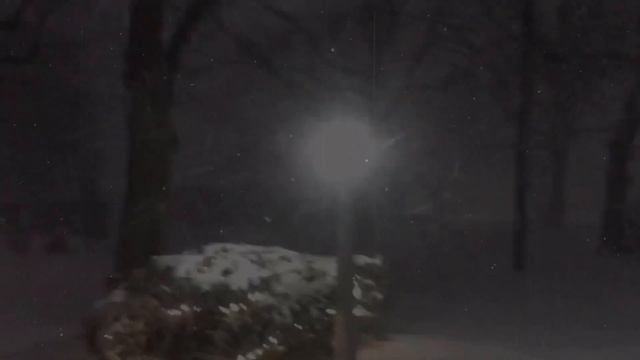 -(冬) 𝘵𝘩1𝘯𝘯𝘦𝘴𝘴 "𝘳𝘦𝘷𝘦𝘳𝘴𝘦 𝘱𝘴𝘺𝘤𝘩𝘰𝘭𝘰𝘨𝘺". смотреть онлайн