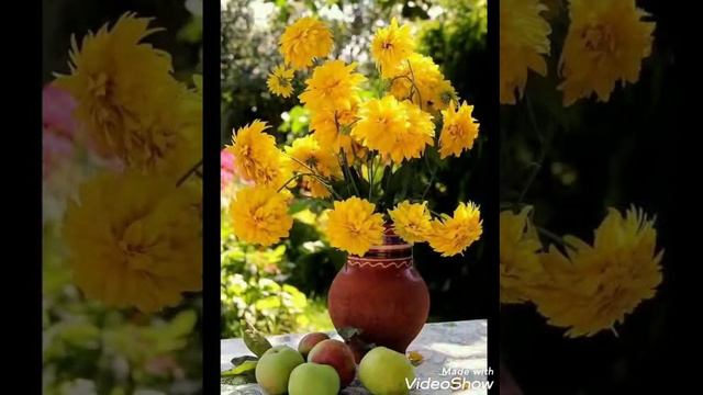 С добрым утром. Деревня. смотреть онлайн