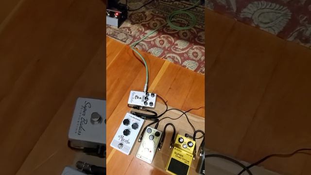 Fender Champion 40 w/ Eminence Texas Heat Speaker : Blues/Rock Pedalboard Jam (Fuzz, Wah, Vibe, OD) смотреть онлайн