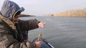 Ловля щуки. Отводной поводок. Рыбалка на Маныче.2020