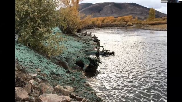 Upper Colorado River Restoration Webinar смотреть онлайн