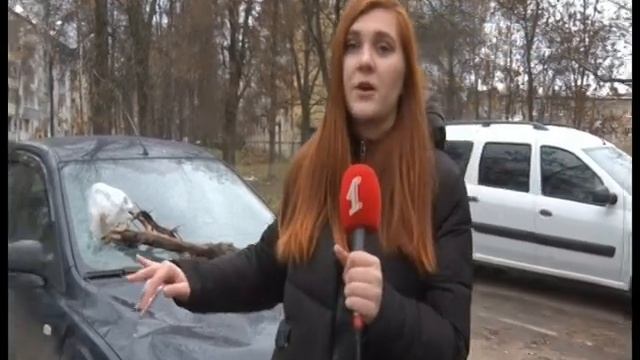 Последствия урагана в Ярославле: поваленные деревья, разбитые машины и снесенные остановки