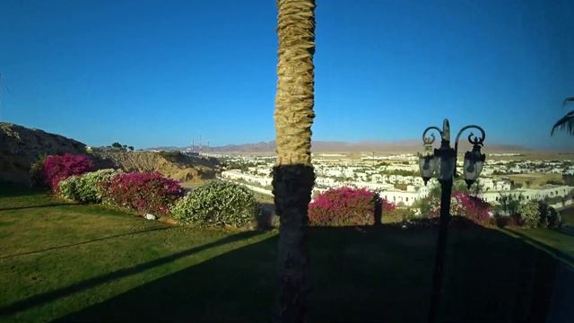 Трансфер Египет. Типы трансферов. Едем из аэропорта в отель. Отдых в Шарм эль шейхе 2020 смотреть онлайн