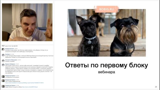 Бесплатный вебинар Насти Бобковой «У моей собаки проблемы. Что делать» 25 мая 2021 смотреть онлайн
