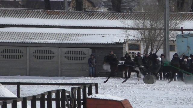 Приз Мемориал Шишкина В.И. Для лошадей орловской рысистой породы 3-х лет, 1600 м смотреть онлайн