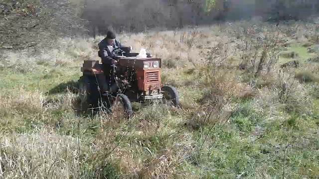 С соседом Виктором Медяником ездили на его минитракторе в лес за грушей дичкой. смотреть онлайн
