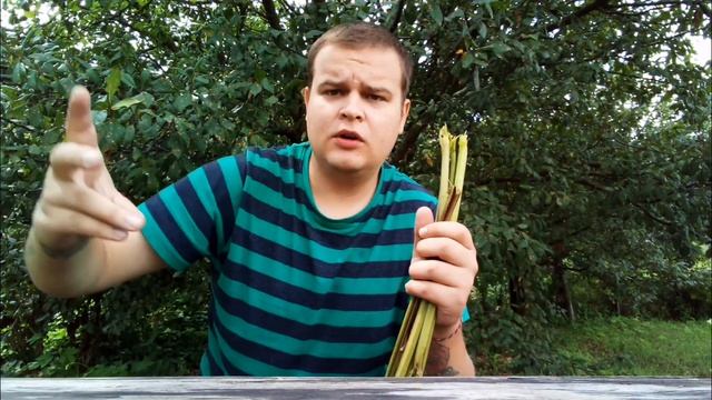 БОМЖ ОБЕД ЗА 0 РУБЛЕЙ | ДЕЛАЮ ОБЕД ИЗ ЛОПУХОВ | КАК ВЫЖИТЬ БЕЗ ДЕНЕГ В РОССИИ смотреть онлайн