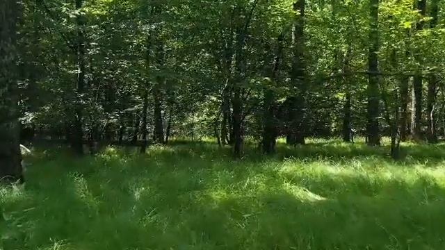 Учила бабушка меня...#стихи #поэзия #бабушка смотреть онлайн