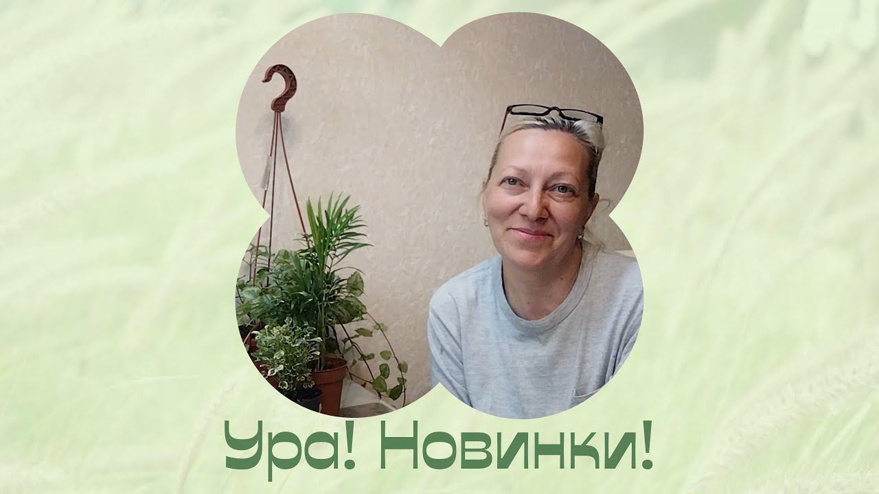 Об этом давно не было! Растения дома. смотреть онлайн