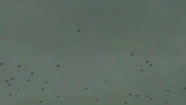 Виталий Кузнецов Мне осталась одна забава смотреть онлайн