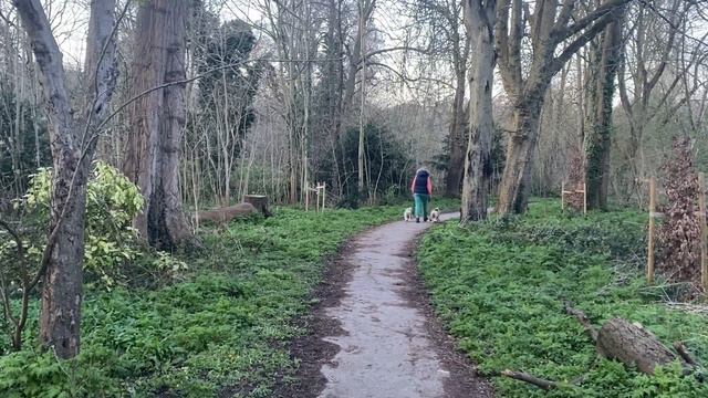 ИТАЛЬЯНСКИЕ КОЛГОТКИ и ДИКАЯ ЖИЗНЬ #secretmaterials #safeanimals