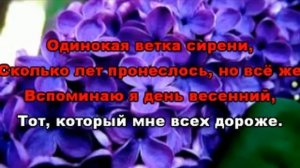 Одинокая ветка сирени. Караоке. Валерий Залкин