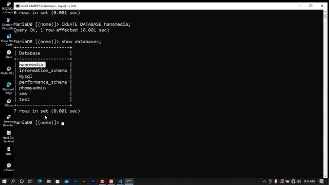 PHP PDO for Beginners(#1setting up environment) смотреть онлайн