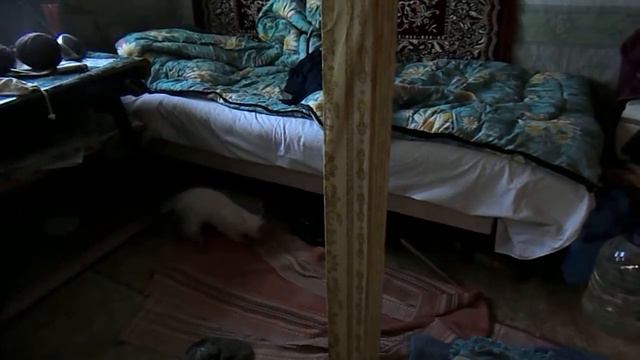 Первая добыча. смотреть онлайн