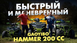 НОВИНКА! Квадроцикл ХАММЕР 200  доступный и проверенный!