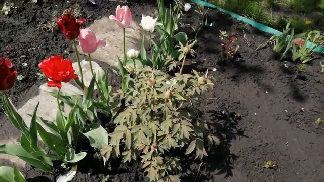 17 мая 2022 года. Обзор. 💦🗨️💦Дожди замучили 😭