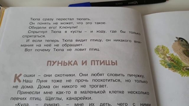 Дошколенок, 1 класс: Чарушин - рассказы 30.03.2020 смотреть онлайн