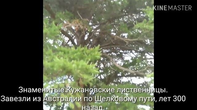 Наш отдых в Башкирии, отель Green, июль 2019. смотреть онлайн